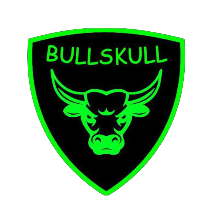 Bull Skull