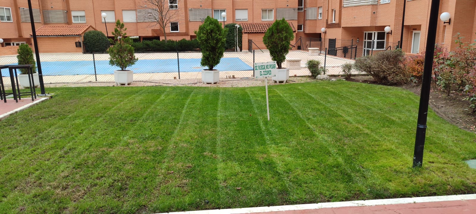 Césped recién segado en la zona verde de una comunidad de propietarios