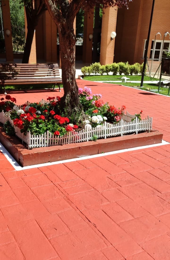 Parterre de flores de temporada cuidado por Bull Skull