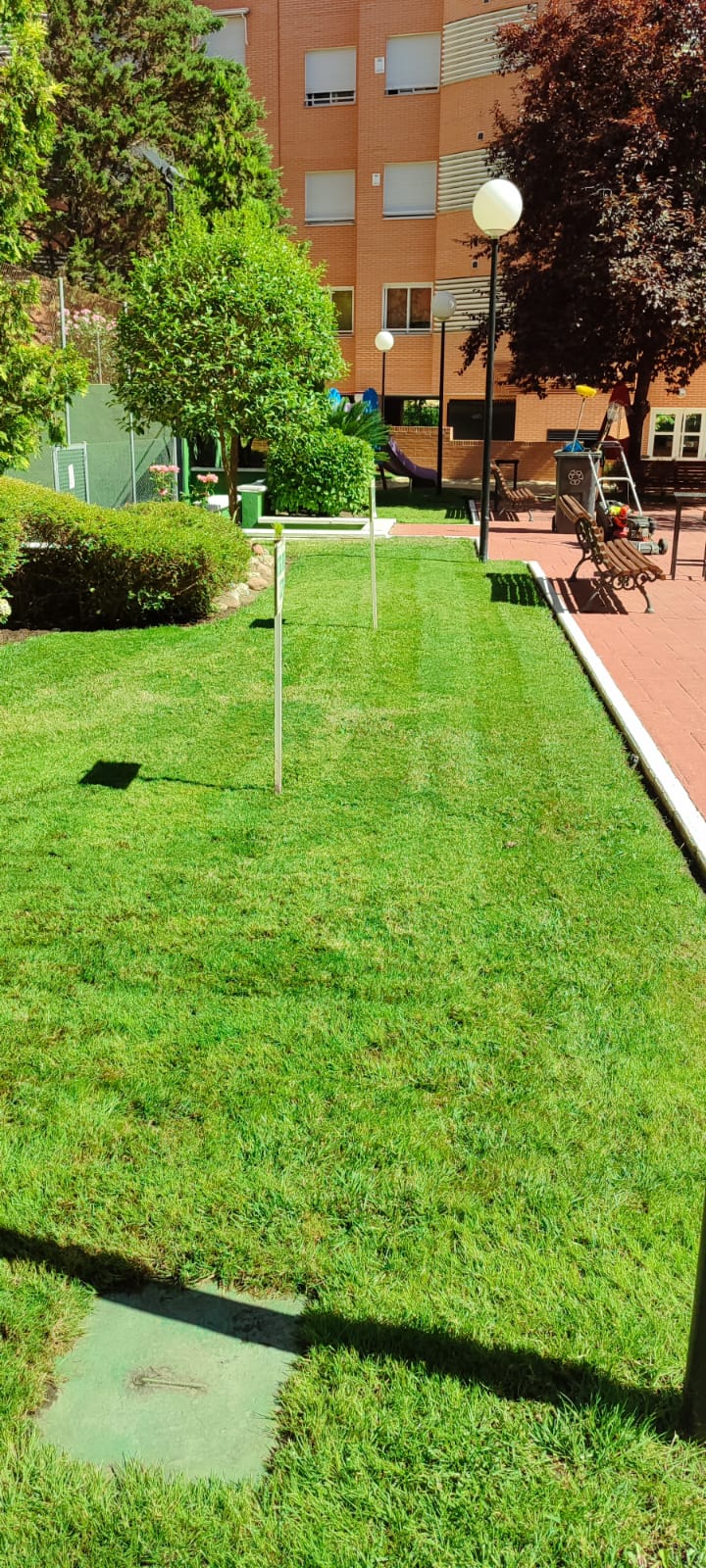 Zona verde de una comunidad cuidada por Bull Skull